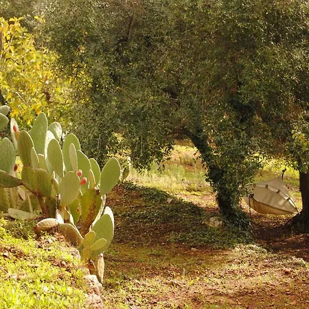 Il Giardino Di Viola Frühstückspension Ceglie Messapica