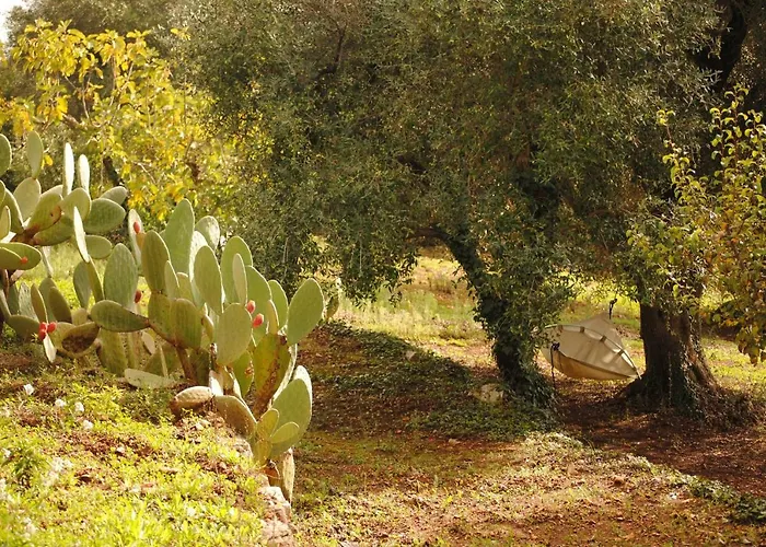 Il Giardino Di Viola 住宿加早餐酒店 切列梅萨皮卡