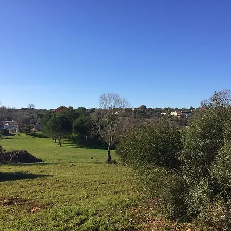 Il Giardino Di Viola 3* Ceglie Messapica