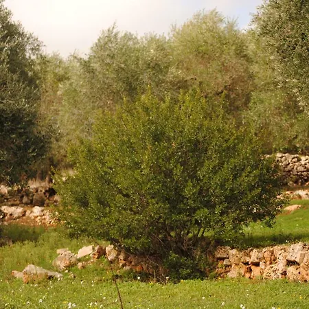 Il Giardino Di Viola Ceglie Messapica