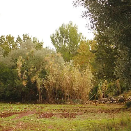 Bed & Breakfast Il Giardino Di Viola 3*