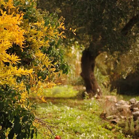 Il Giardino Di Viola 3*