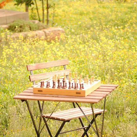 Il Giardino Di Viola Ceglie Messapica