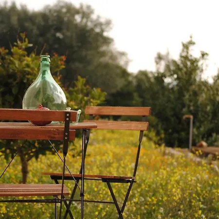 Il Giardino Di Viola 3* Ceglie Messapica