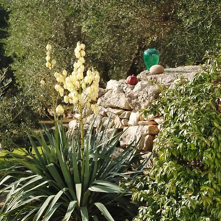 Il Giardino Di Viola Ceglie Messapica