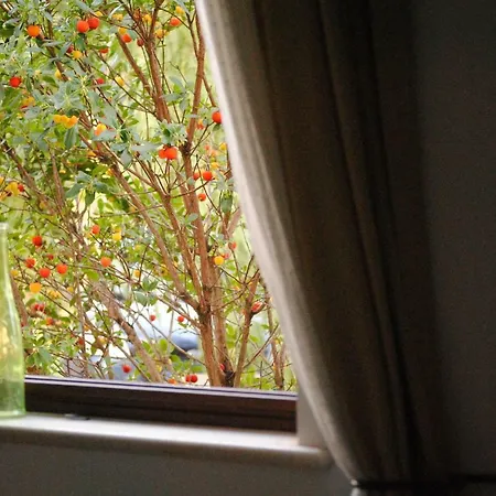 Il Giardino Di Viola Ceglie Messapica