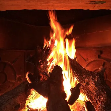 Bed & Breakfast Il Giardino Di Viola