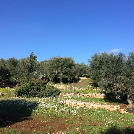 Bed & Breakfast Il Giardino Di Viola 3*