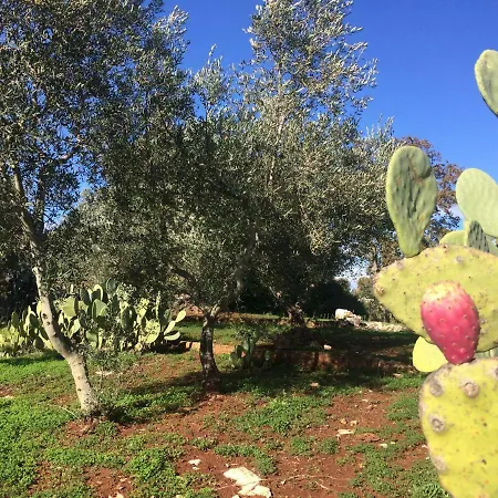 Il Giardino Di Viola 3*