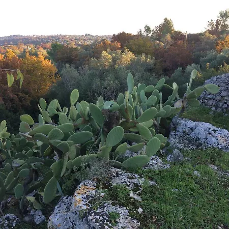 Il Giardino Di Viola Ceglie Messapica