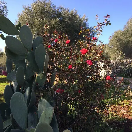 Bed & Breakfast Il Giardino Di Viola