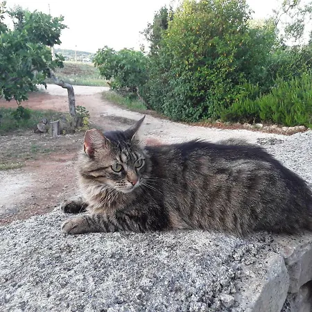 Il Giardino Di Viola 3*