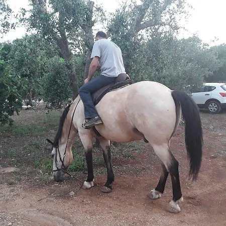 Il Giardino Di Viola Bed & Breakfast