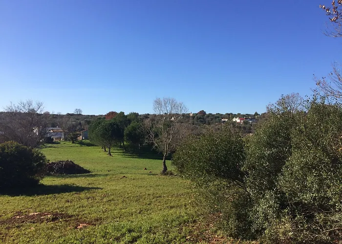 Il Giardino Di Viola 3* Ceglie Messapica