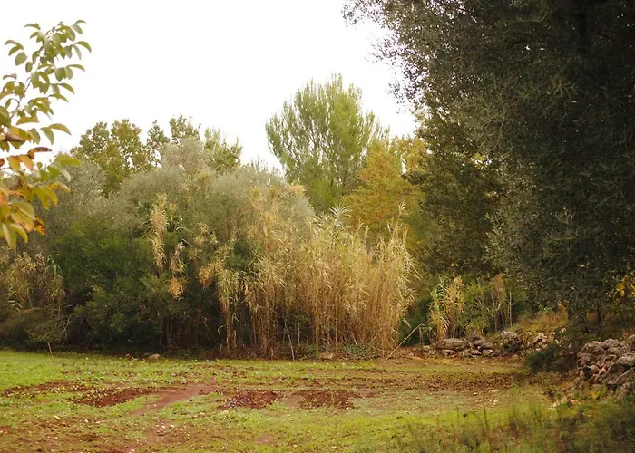 Oda ve Kahvaltı Il Giardino Di Viola 3*