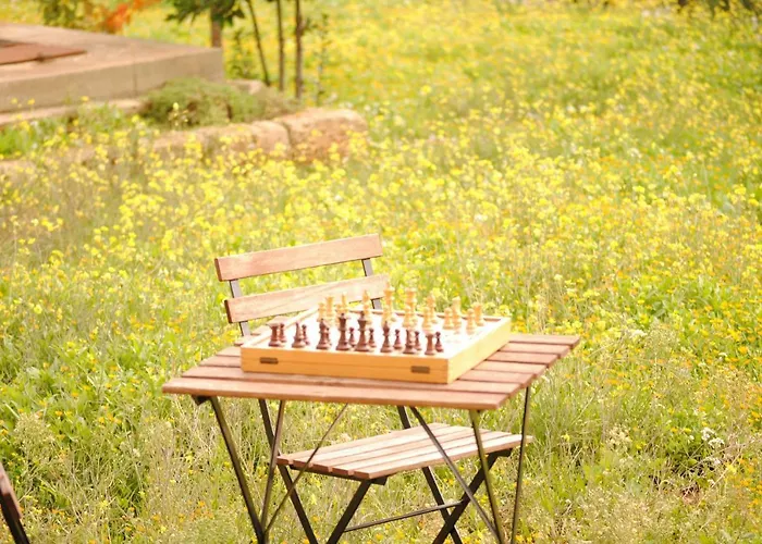Il Giardino Di Viola Ceglie Messapica