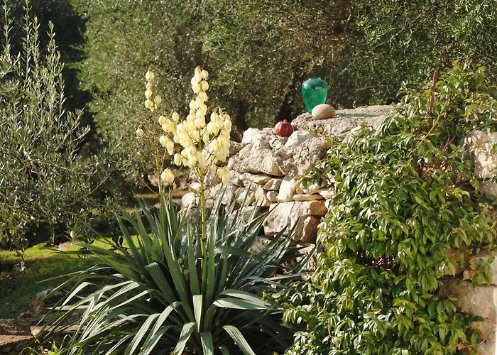 Il Giardino Di Viola Ceglie Messapica