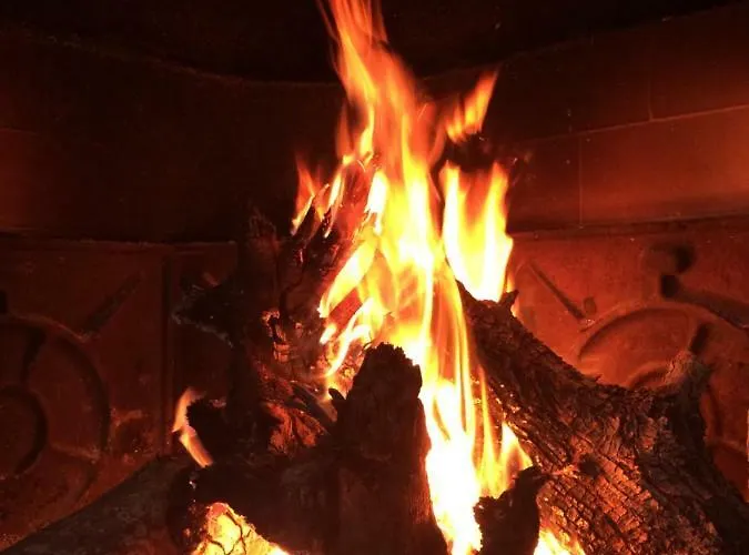 Oda ve Kahvaltı Il Giardino Di Viola