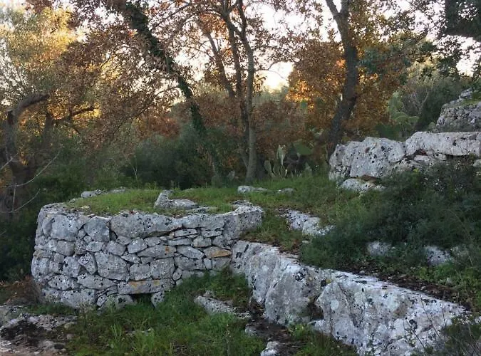 Il Giardino Di Viola 3* Ceglie Messapica