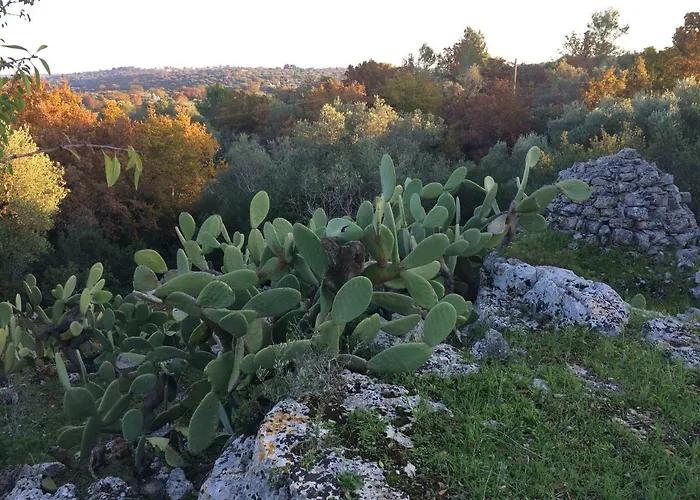 Il Giardino Di Viola Ceglie Messapica