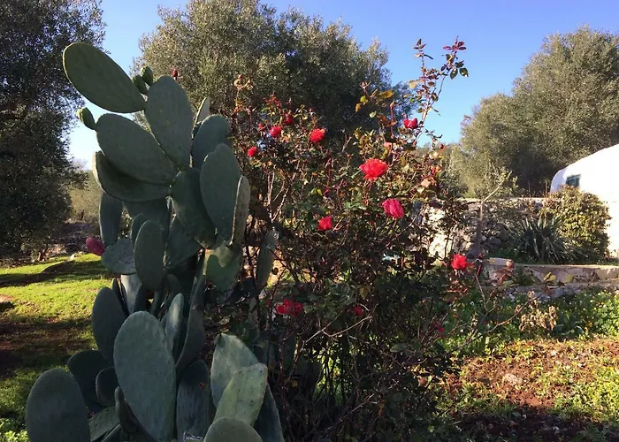 Oda ve Kahvaltı Il Giardino Di Viola